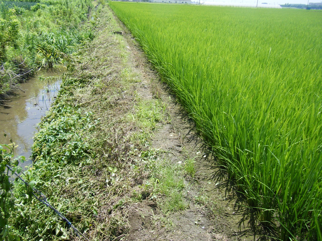 2015025-1.JPG