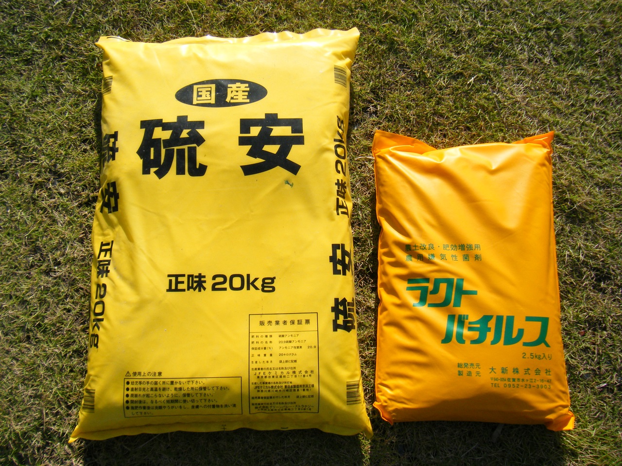 2015046.JPG